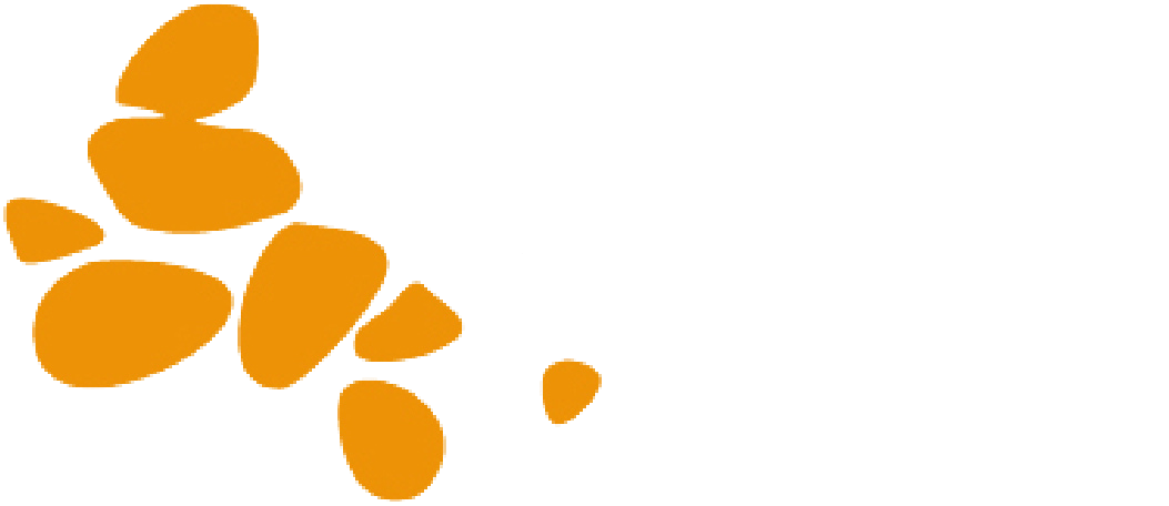 logo light